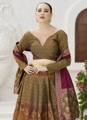 Olive Green Kanijwaram Jacquard Woven Lehenga Choli 2