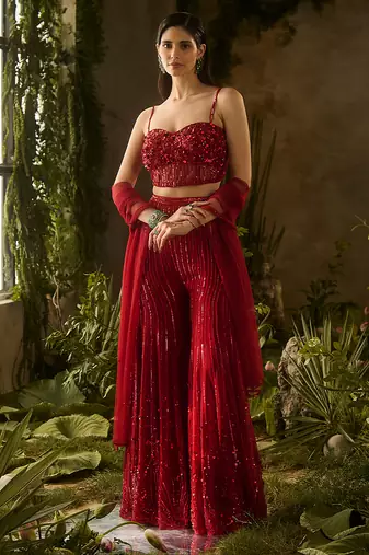 Red embroidered organza Co ord Set