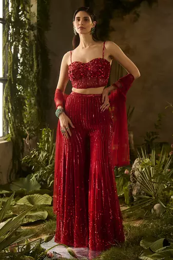Red embroidered organza Co ord Set