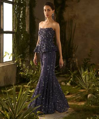 Blue embroidered organza co ord set 4
