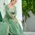 Pista green Vichitra Silk with Rich Embroidered Zari & Thread work Gown  and duptta 