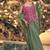 Pink and green wedding silk indowestern top, palazzo & cape suits- Full Stitched Free Size