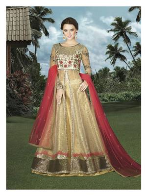 Cream Net Heavy Embroidered Designer Semi Stiched Suit 1