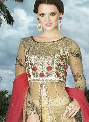 Cream Net Heavy Embroidered Designer Semi Stiched Suit 3