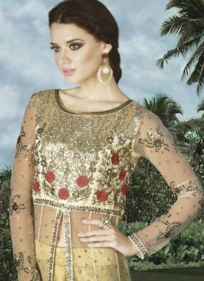 Cream Net Heavy Embroidered Designer Semi Stiched Suit 4