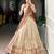 Golden Zari Weaving Dupion Silk Lehenga Set
