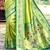 green silk blend woven work traditional saree
