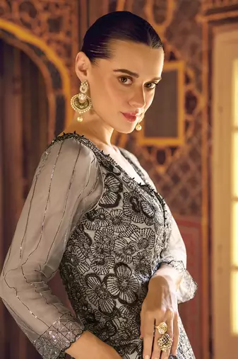 Light grey viscos simmer jacquard silk embroidered gown