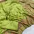 Parrot Green Color Premium Pashmina Silk Saree