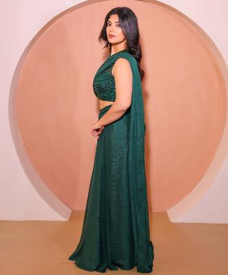 Green net saree 3