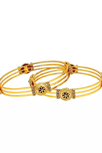 Set of 2 gold plated meenakari stylish bangles