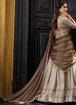Zari Weaving Work Dupion Silk Festive Lehenga Set 3
