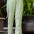 Silk blend light green occasional wear embroidery work kurta set
