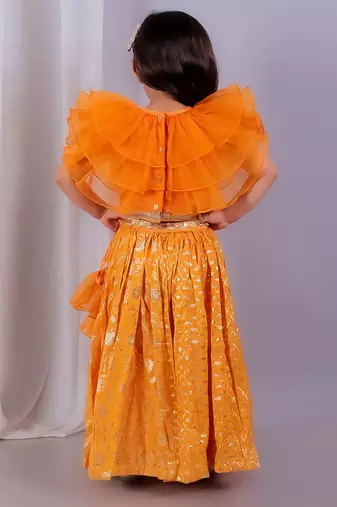 Orange embroidered organza lehenga set