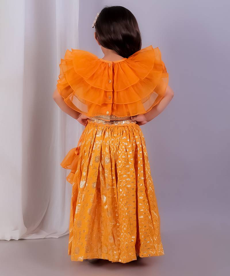 Orange embroidered organza lehenga set