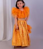 Orange embroidered organza lehenga set