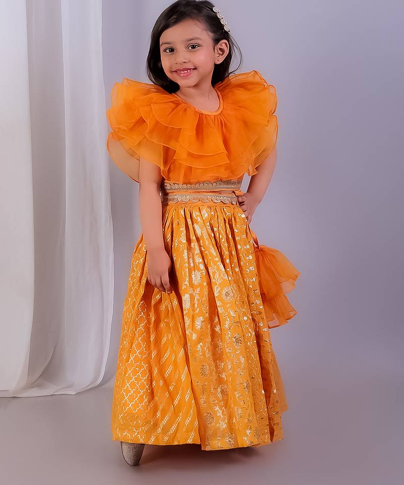 Orange embroidered organza lehenga set
