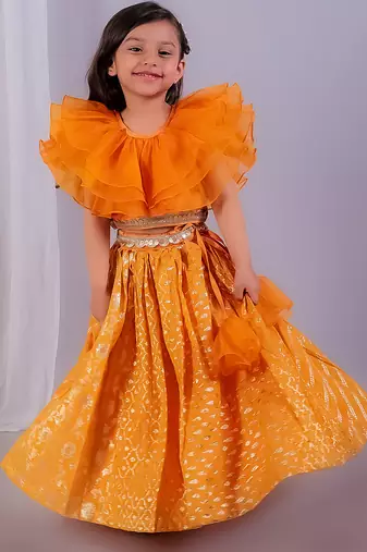 Orange embroidered organza lehenga set