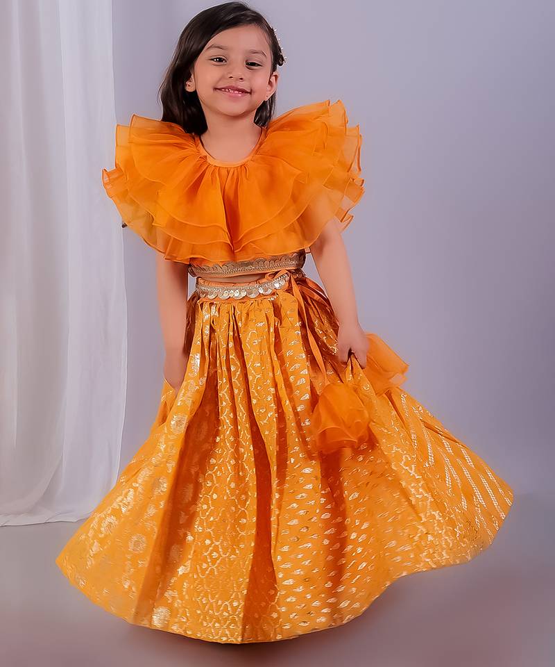 Orange embroidered organza lehenga set