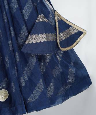 Blue embroidered organza lehenga set 2