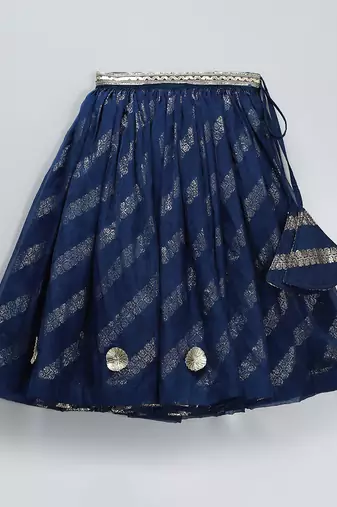 Blue embroidered organza lehenga set