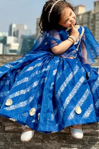 Blue embroidered organza lehenga set