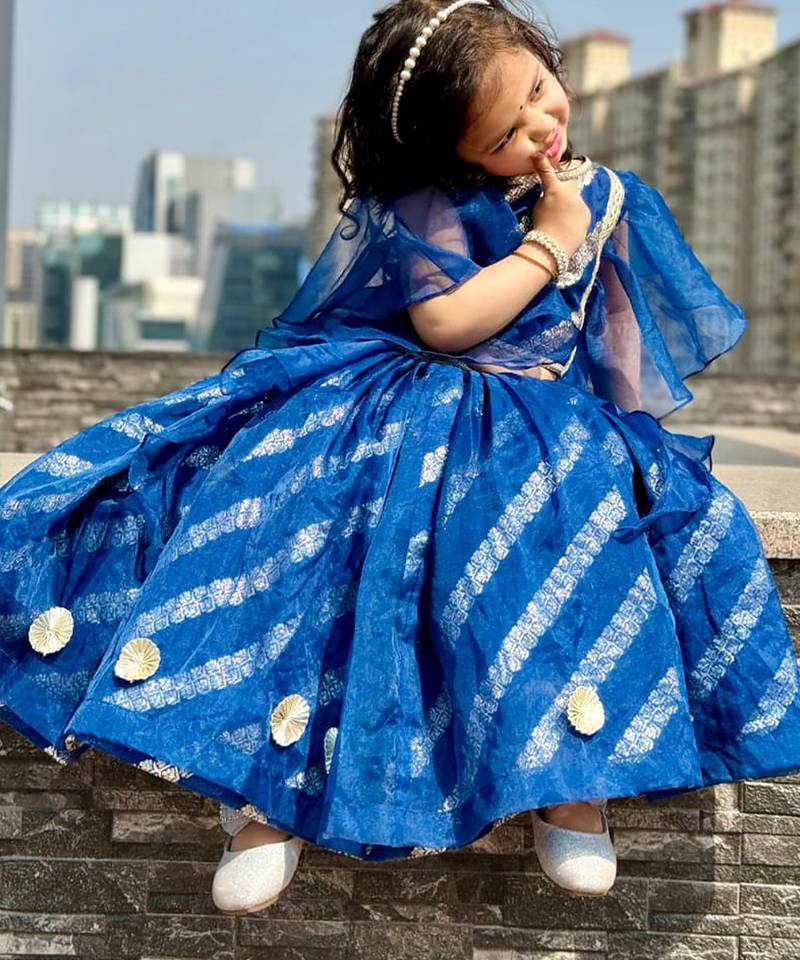 Blue embroidered organza lehenga set
