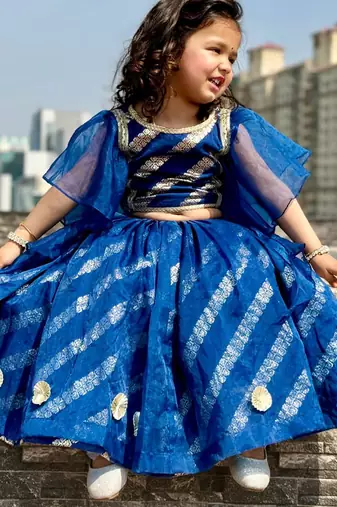 Blue embroidered organza lehenga set
