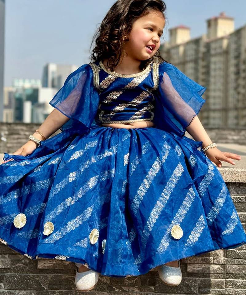 Blue embroidered organza lehenga set