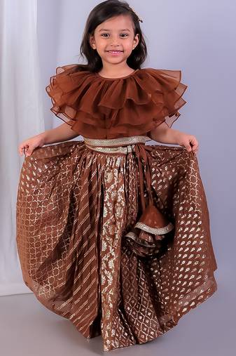 Brown embroidered organza lehenga set