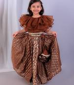 Brown embroidered organza lehenga set