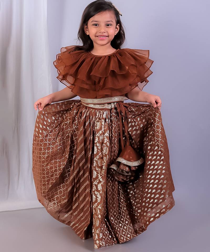 Brown embroidered organza lehenga set