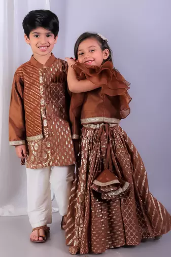 Brown embroidered organza lehenga set