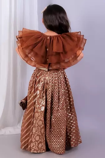 Brown embroidered organza lehenga set
