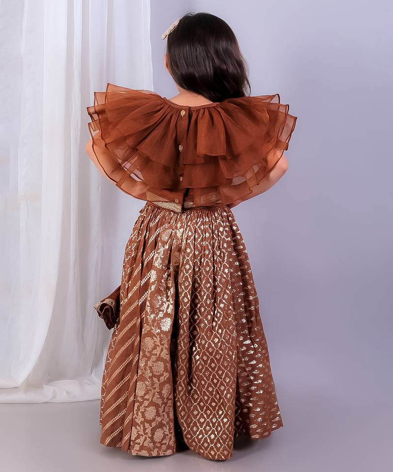 Brown embroidered organza lehenga set