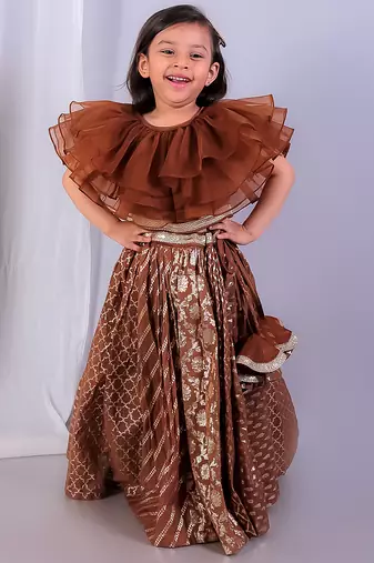 Brown embroidered organza lehenga set