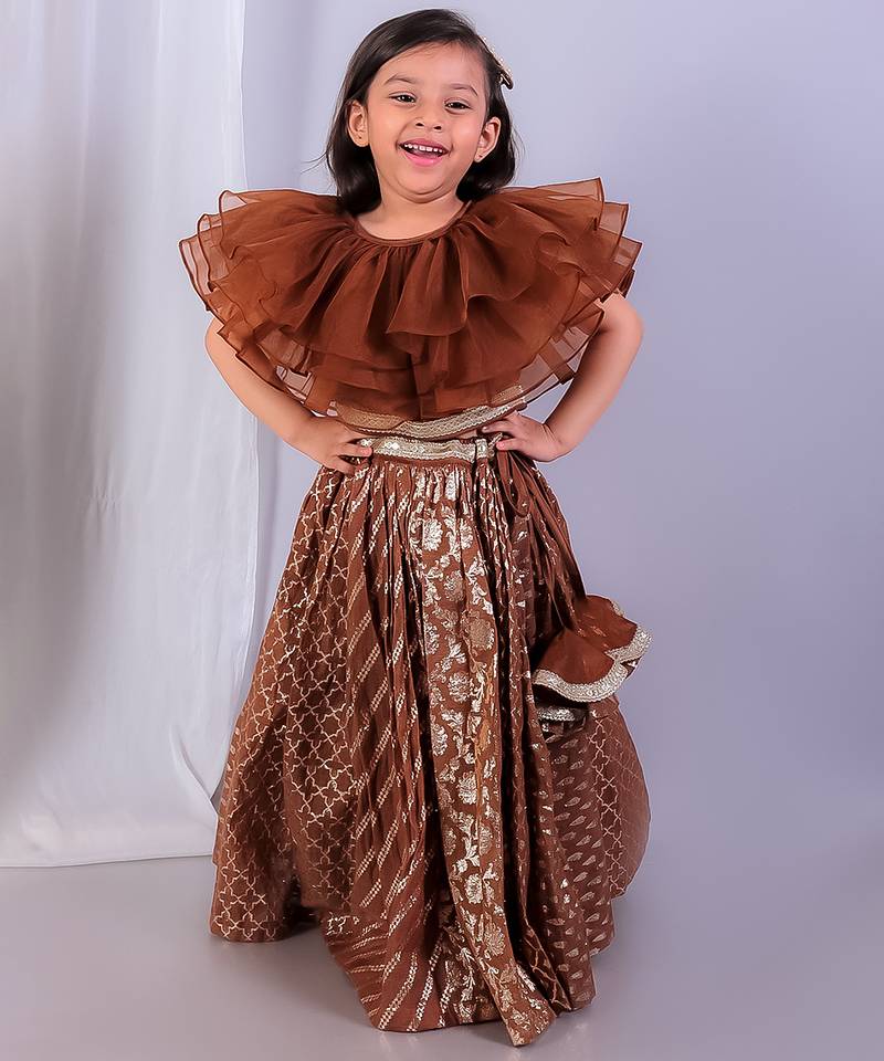Brown embroidered organza lehenga set