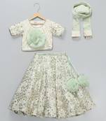 Green embroidered georgette lehenga set