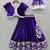 Purple embroidered velvet lehenga set