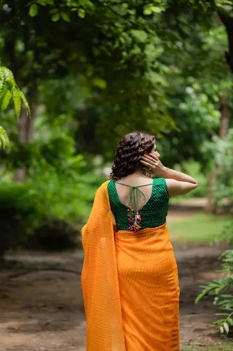 Lehriya Printed with Embroidered Saree Blouse