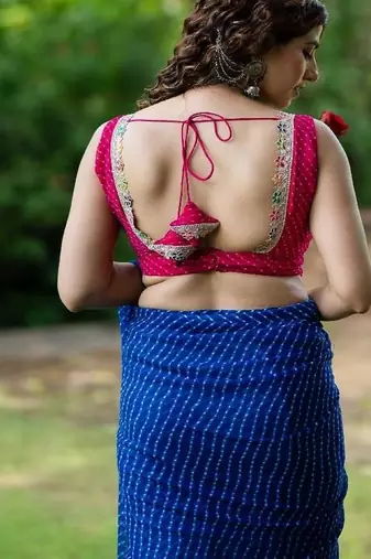 Lehriya Printed with Embroidered Sleeveless Saree Blouse