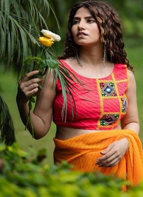 Lehriya Printed with Embroidered Sleeveless Saree Blouse 1