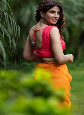 Lehriya Printed with Embroidered Sleeveless Saree Blouse 3