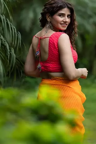 Lehriya Printed with Embroidered Sleeveless Saree Blouse