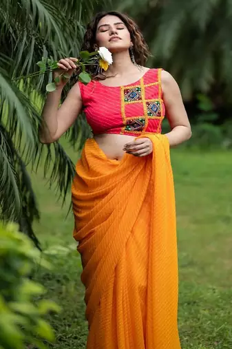 Lehriya Printed with Embroidered Sleeveless Saree Blouse