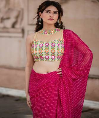 Embroidered Saree Blouse 3