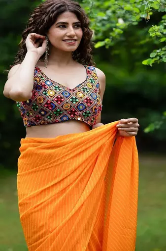 Mirror Embroidered Saree Blouse