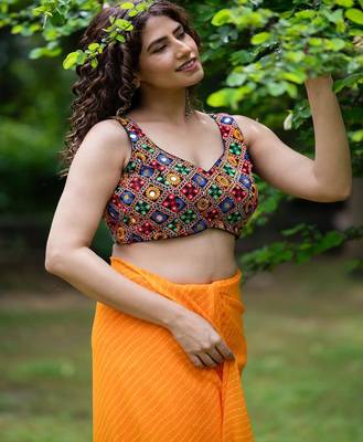 Mirror Embroidered Saree Blouse 3