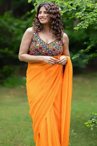 Mirror Embroidered Saree Blouse