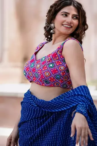 Embroidered Saree Blouse